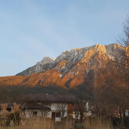 Adlerhorst Διαμέρισμα Ebbs