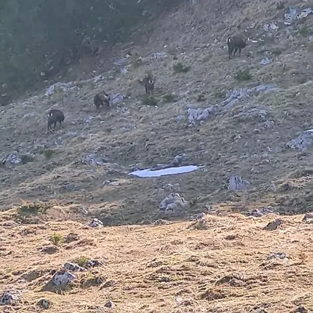 Daire Adlerhorst Ebbs