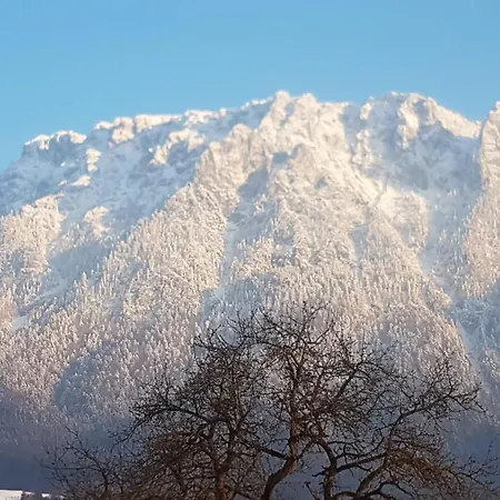 Adlerhorst Daire Ebbs